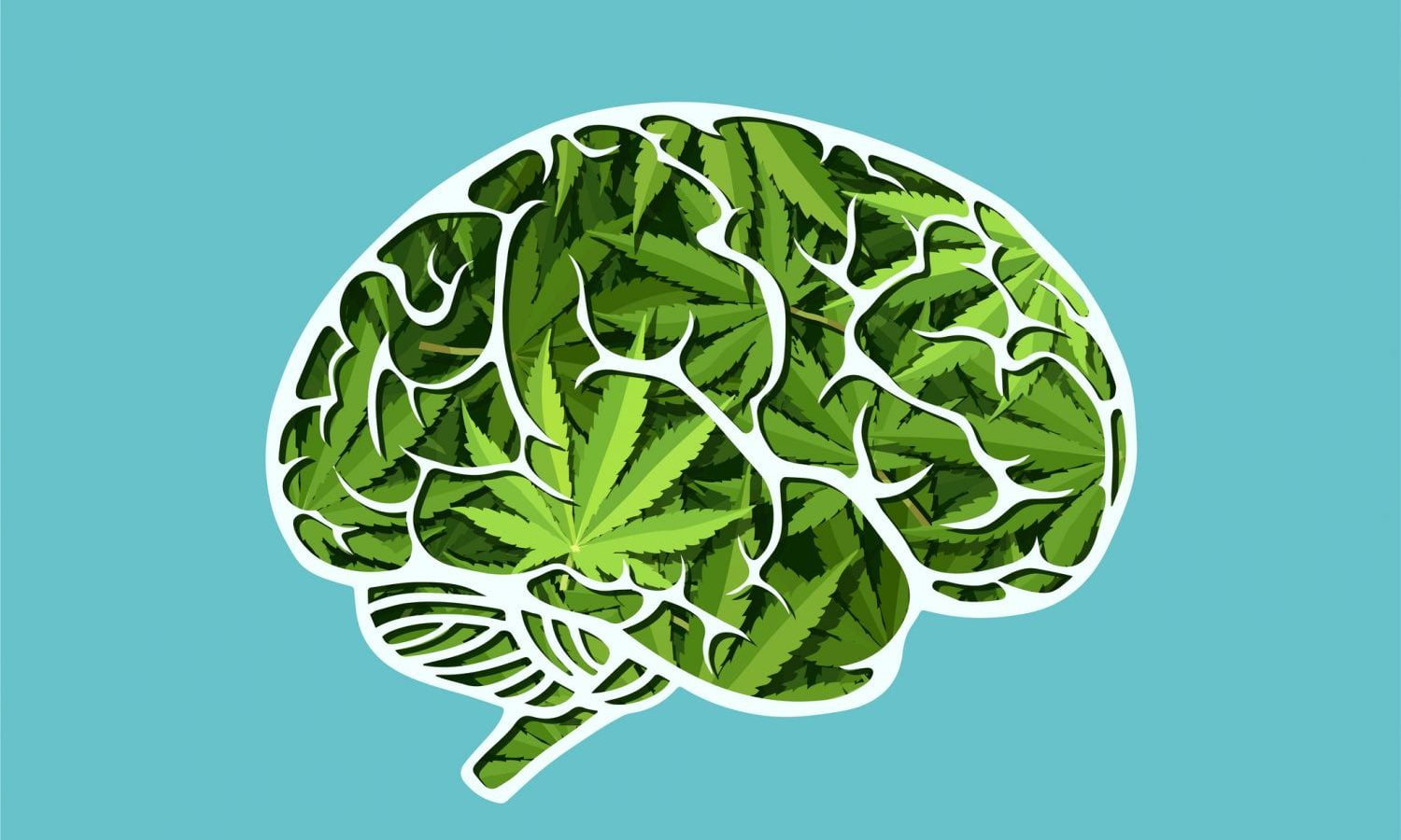 Does Cannabis Use Affect IQ Rates? Here’s What New Study Says